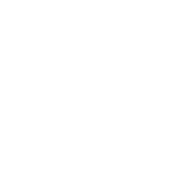 language